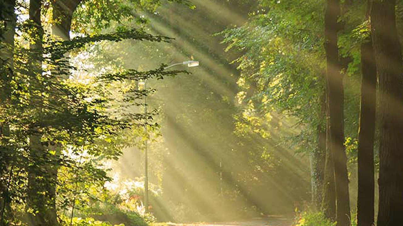 Heilungswege der Natur: Von Freiburg nach Ourtzagh